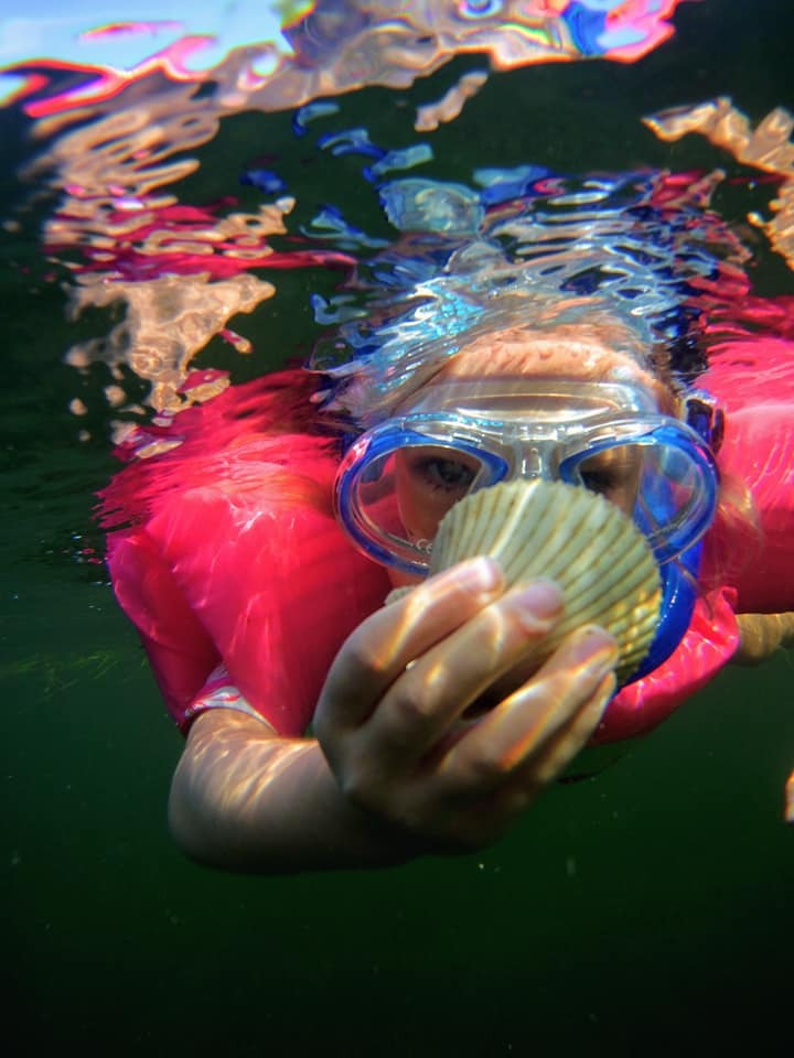 Crystal River Scalloping